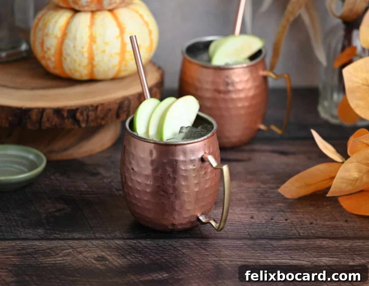 Spiced Apple Moscow Mule 2 Two Apple Cider Moscow Mule drinks in copper mugs garnished with fresh apple slices and a lime wedge.