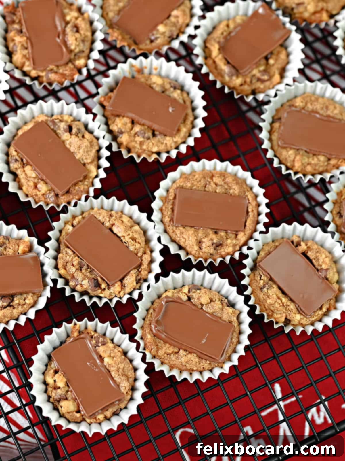 Elegant French Christmas Cookies 4 French Christmas Cookies cooling with holiday decor in the background.