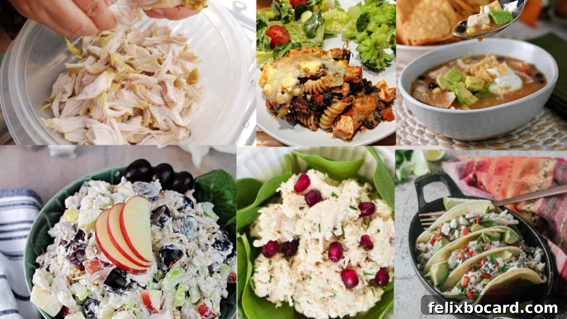 21 Delicious Makeovers for Your Leftover Shredded Chicken 2 Collage of diverse recipes featuring shredded leftover chicken, including salads, soups, and casseroles.