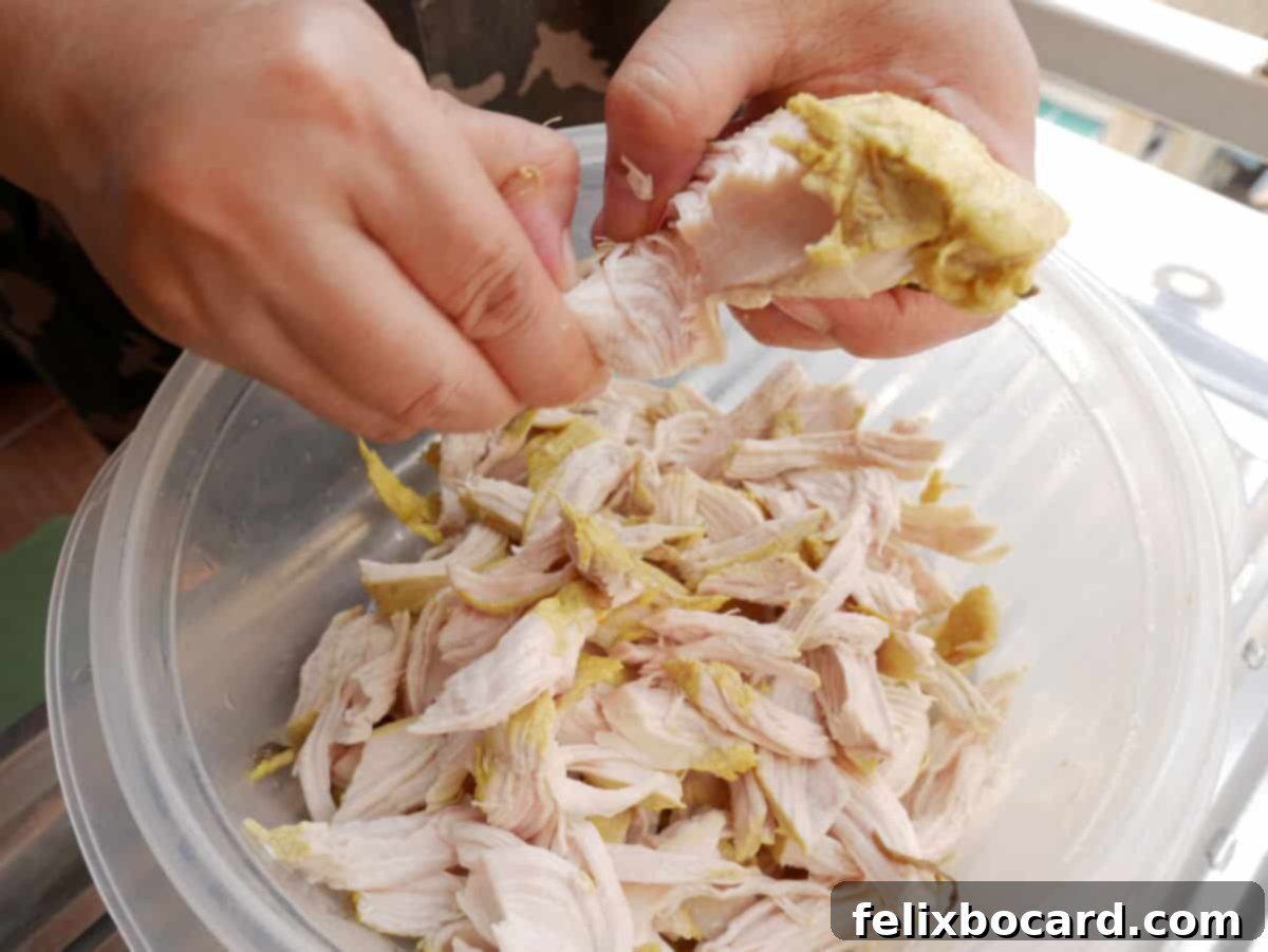 21 Delicious Makeovers for Your Leftover Shredded Chicken 3 Two hands skillfully shredding freshly cooked chicken, preparing it for delicious leftover recipes.