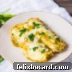 21 Delicious Makeovers for Your Leftover Shredded Chicken 33 Delicious green enchiladas with a rich chicken filling.