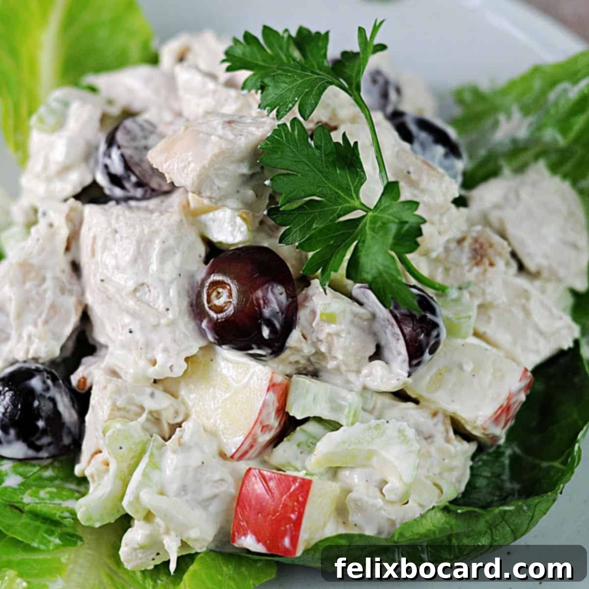 21 Delicious Makeovers for Your Leftover Shredded Chicken 8 A close-up view of Chicken Waldorf Salad, highlighting crisp red grapes and apple slices, perfectly made with leftover shredded chicken.