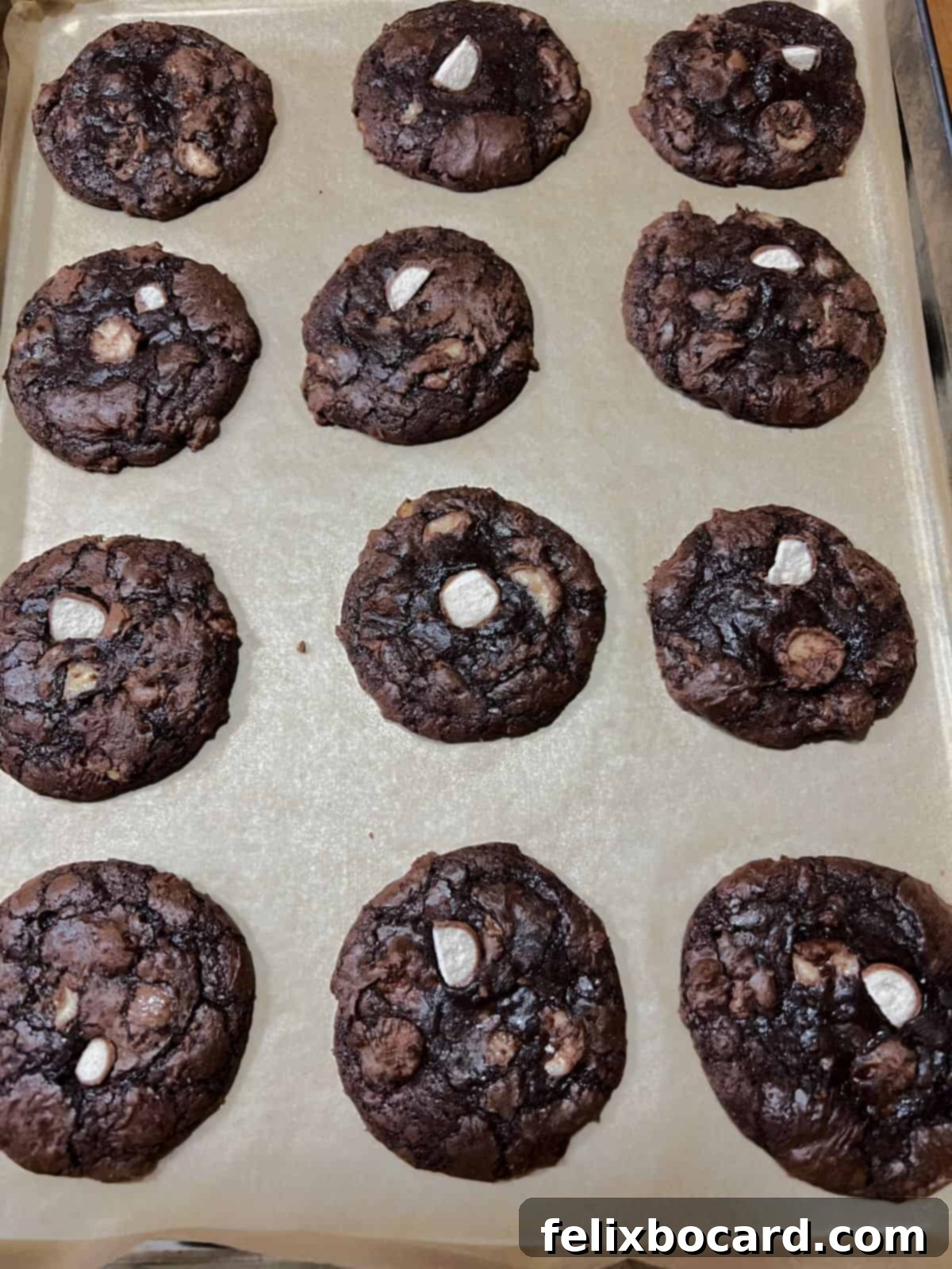 Chocolate malted milk ball cookies cooling on the baking sheet.