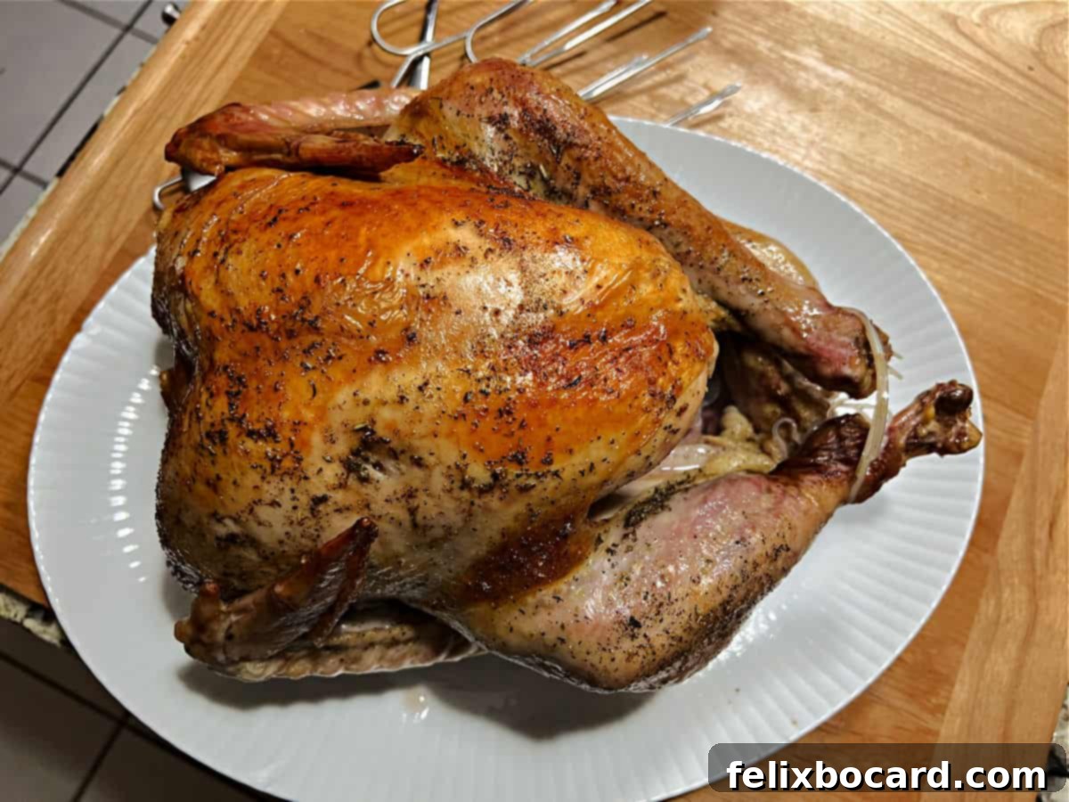 Roast turkey cooked in an oven bag, golden brown and juicy.