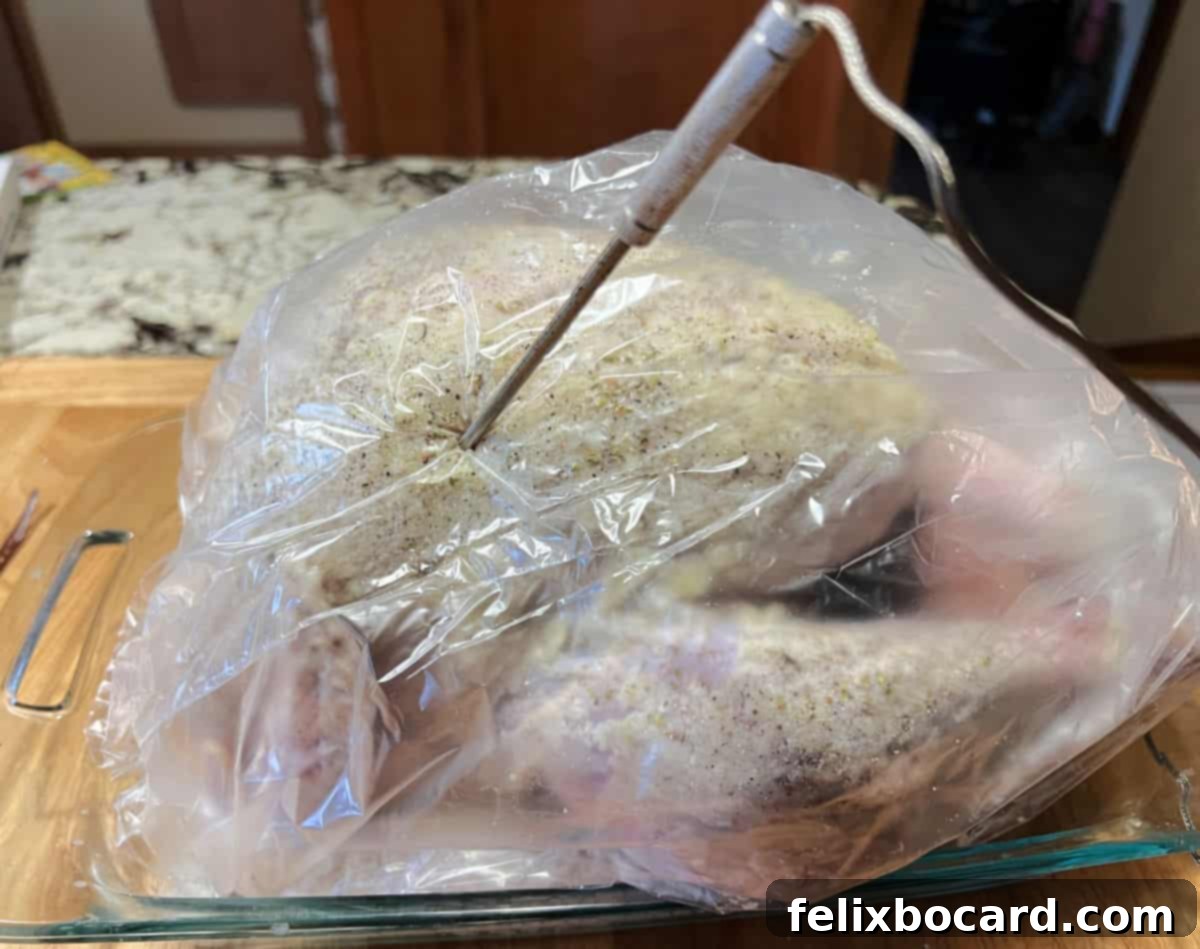 Temperature probe added to the turkey, ensuring accurate cooking.