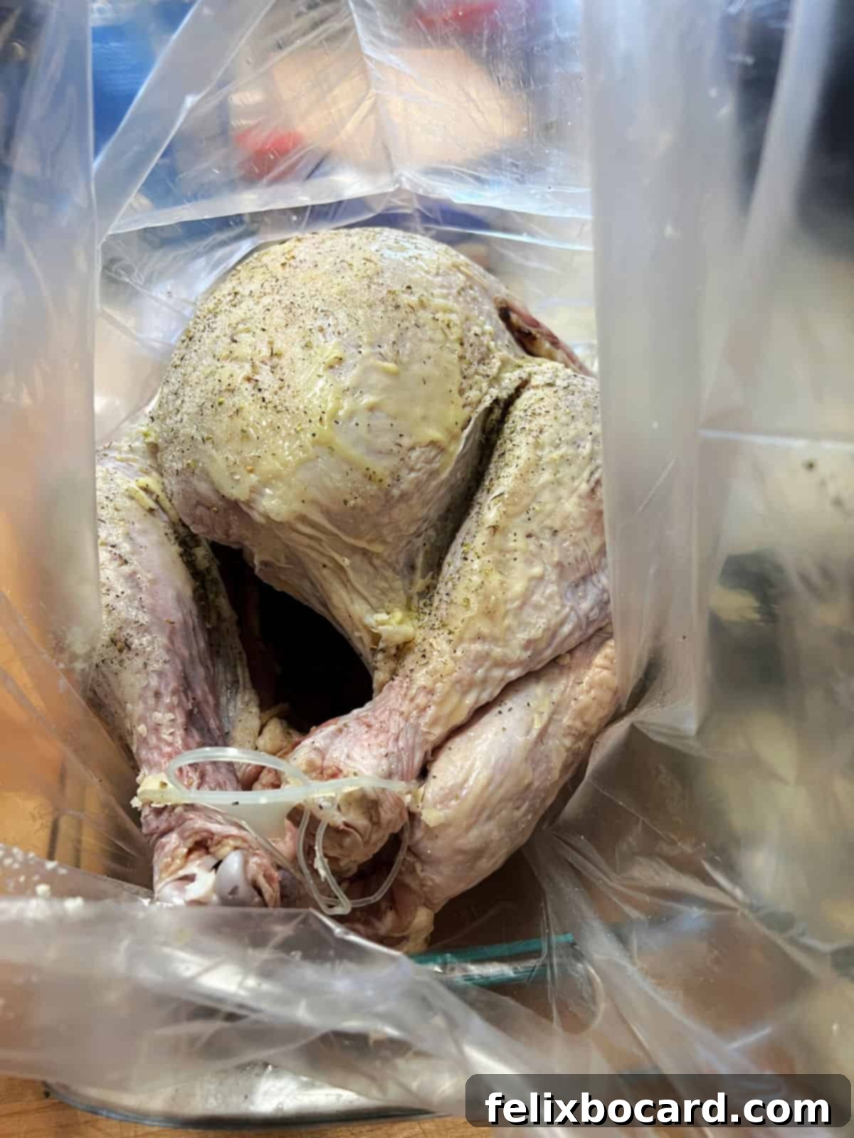 Turkey placed inside the oven bag with optional vegetables.