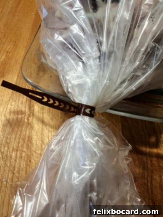 Oven bag secured with a tie.