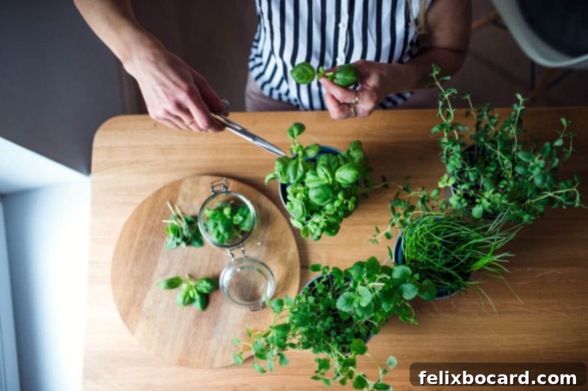 Fresh herbs getting chopped on a cutting board, ready for garnishing.