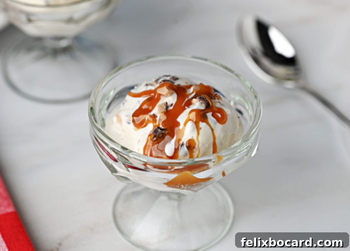 A scoop of creamy homemade Toffee Ice Cream, freshly made with the Ninja Creami, sitting in a dessert bowl, ready to be enjoyed.