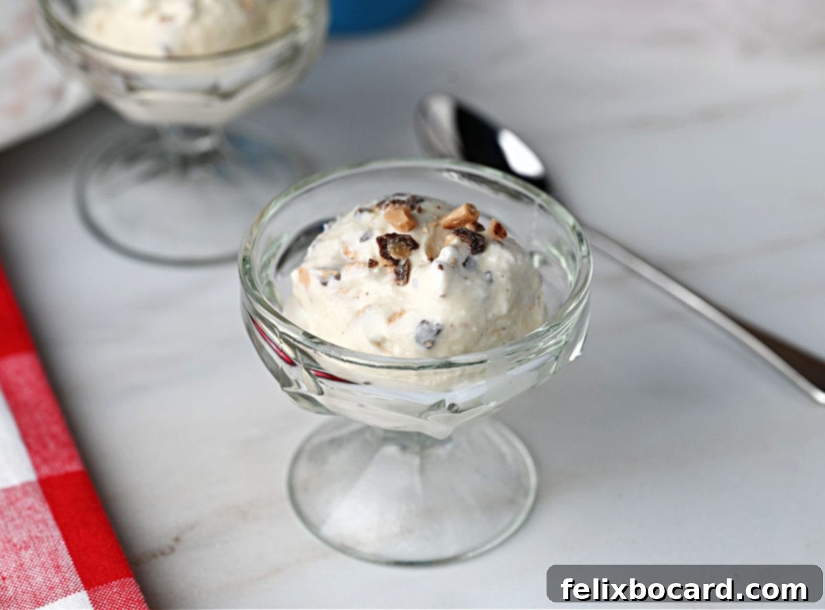 A single scoop of homemade Toffee Ice Cream, beautifully presented in a small glass dessert cup, highlighting its smooth texture and delicious appearance.