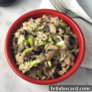 A small red bowl filled with creamy, rich mushroom risotto, showcasing its appetizing texture and garnish.