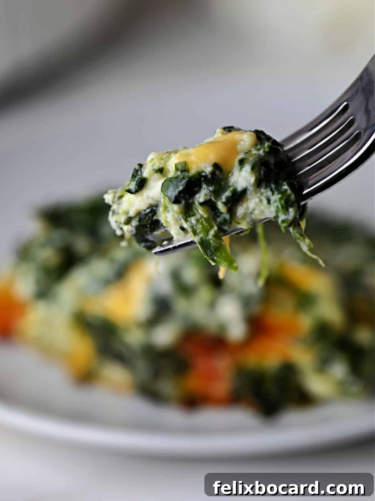 A fork taking a delicious bite of cheesy spinach casserole, showcasing its creamy texture.