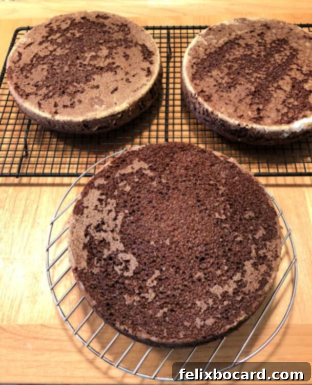 Decadent German Chocolate Delight 2 cakes