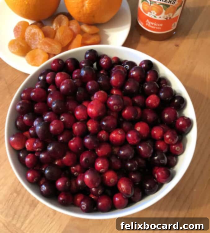 Ruby Apricot Cranberry Compote 2 ingredients
