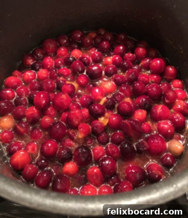 Ruby Apricot Cranberry Compote 4 starting to cook