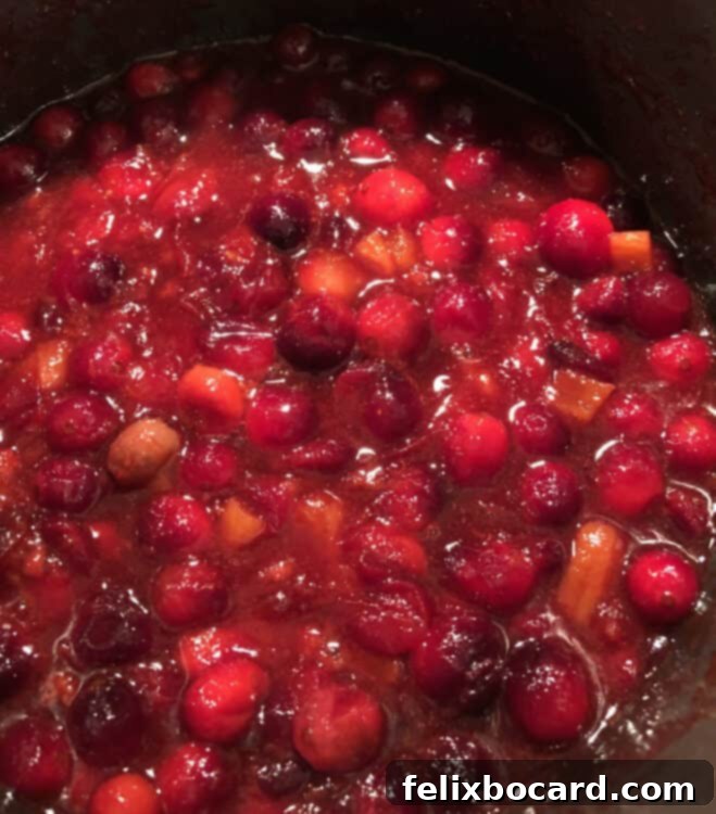 Ruby Apricot Cranberry Compote 5 almost sauce