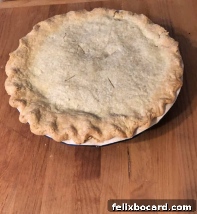 A freshly baked chicken or turkey pot pie, golden brown and hot from the oven.