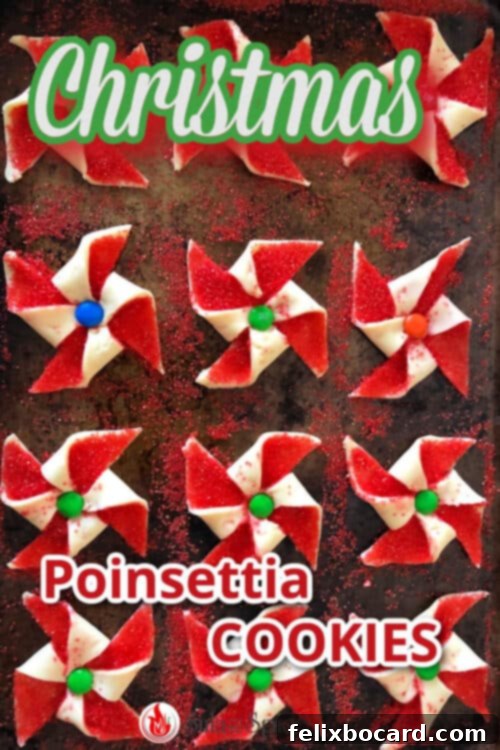 Poinsettia cookies pin