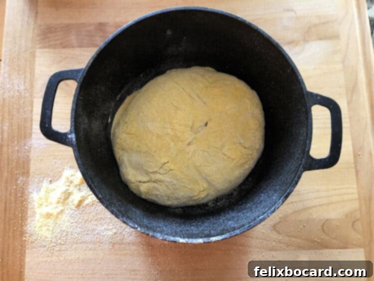 dough in Dutch oven before baking