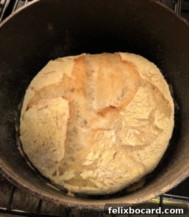 Dutch Oven Bread after initial bake