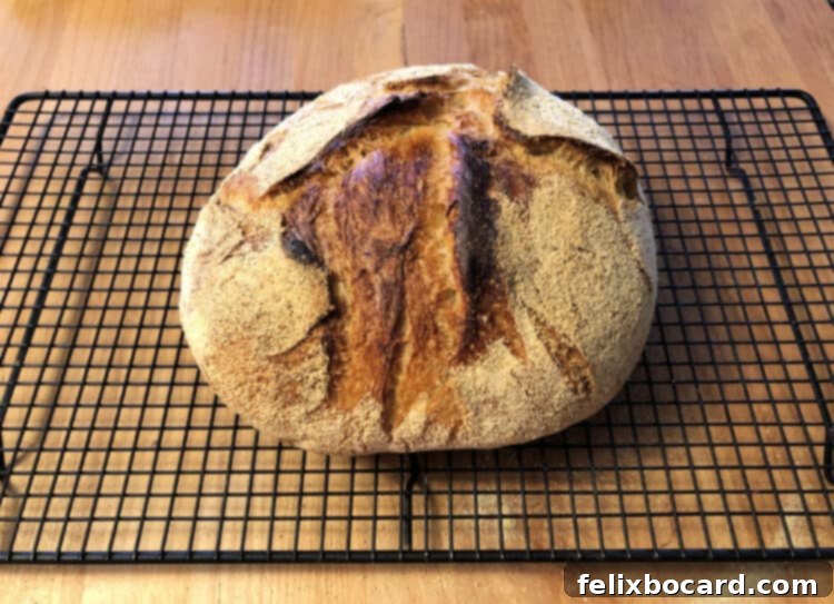 Fully Baked Dutch oven Bread