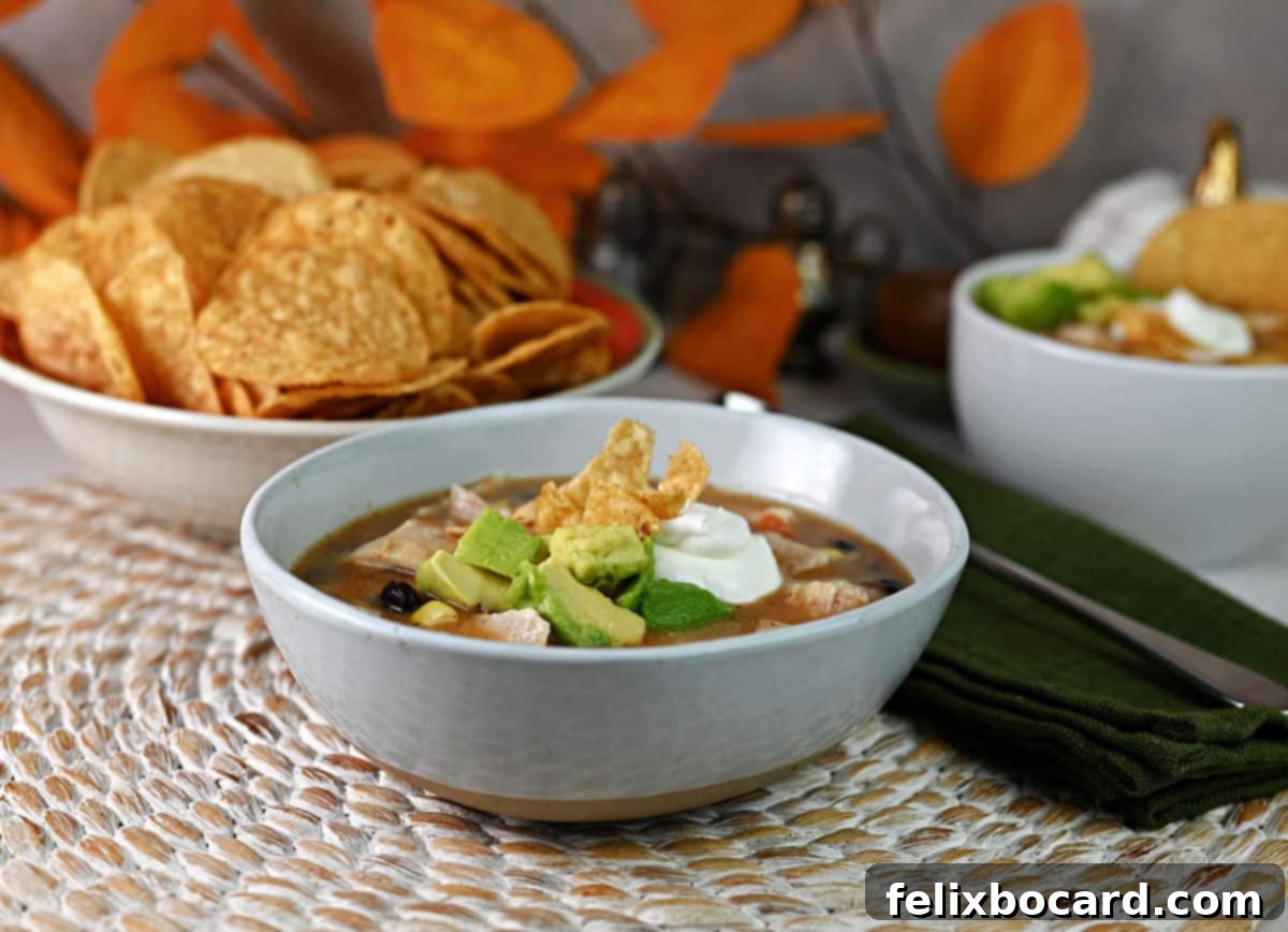 Bowl of chicken soup with tortilla chips crushed and added.