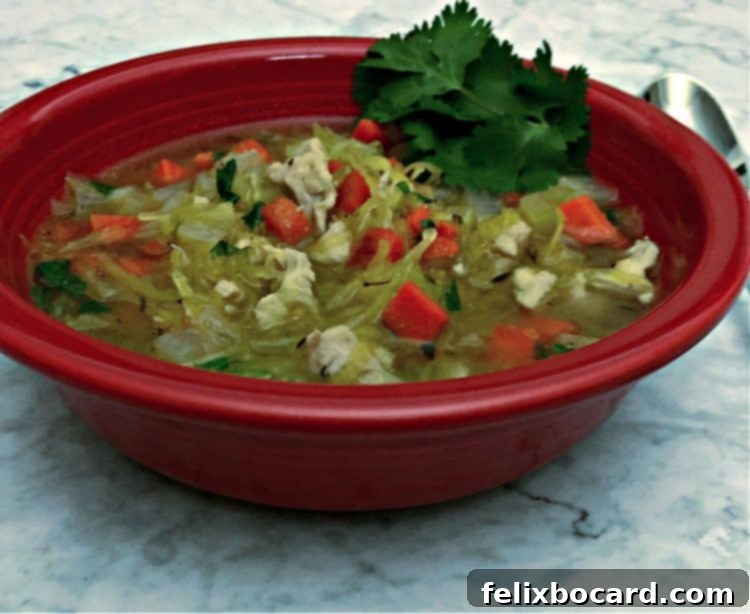 Low carb chicken noodle soup in a red bowl, garnished with fresh herbs