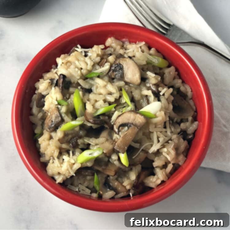 Creamy Mushroom Risotto served in a small red bowl, garnished with fresh herbs.