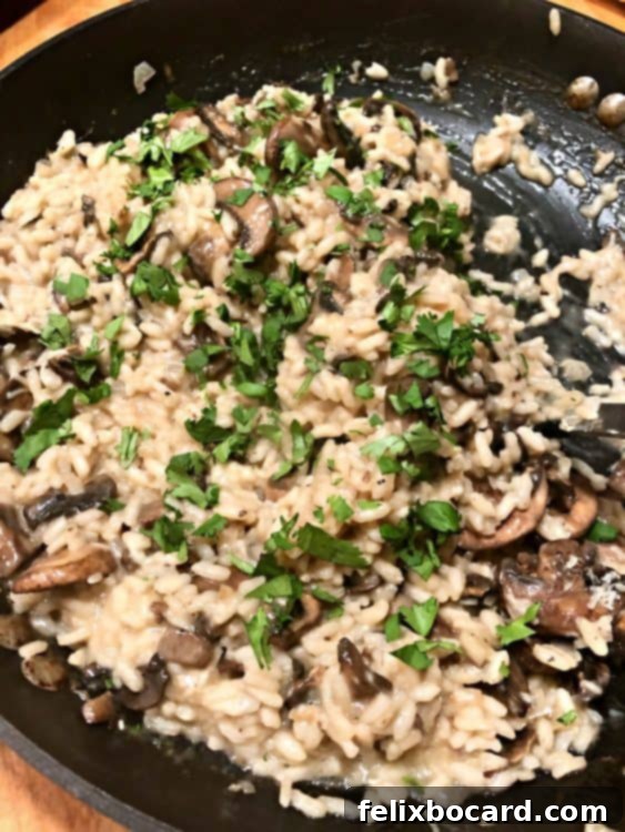 Mushroom risotto in the pan, ready to be served, with a spoon for stirring.