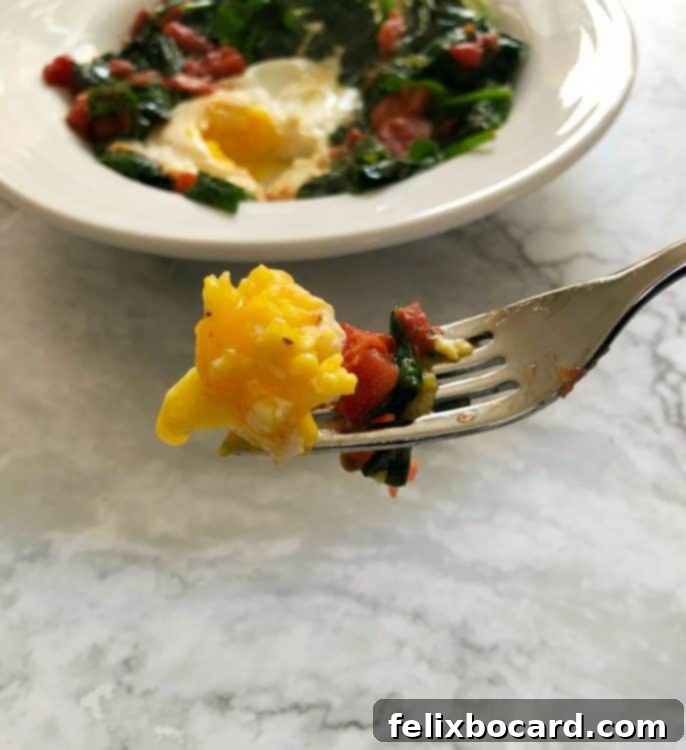 Supercharged Eggs 9 fork holding a piece of egg