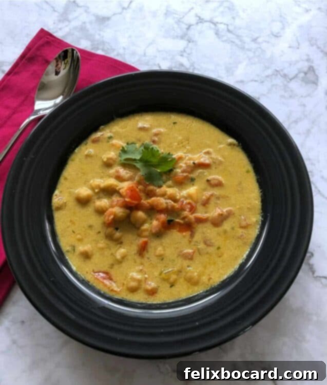 A bowl of freshly made spicy chickpea and tomato soup, ready to be enjoyed.