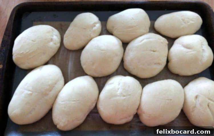 Deli Style Sandwich Rolls 4 Puffed-up unbaked sub rolls after their second rise, ready for baking