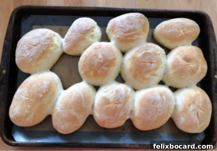Deli Style Sandwich Rolls 5 Freshly baked hoagie rolls with a golden crust on a wire rack