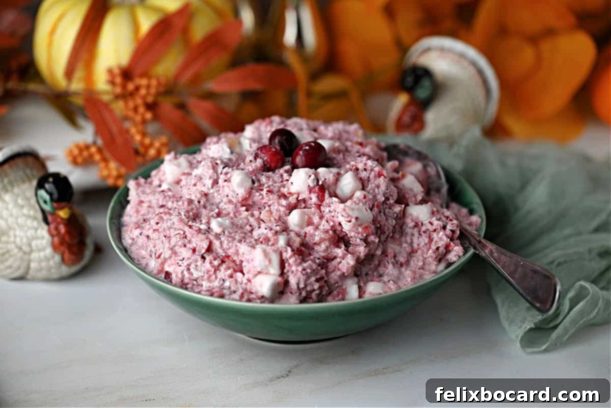 A beautifully presented bowl of homemade Cranberry Fluff Salad, garnished and ready to serve at a holiday table.