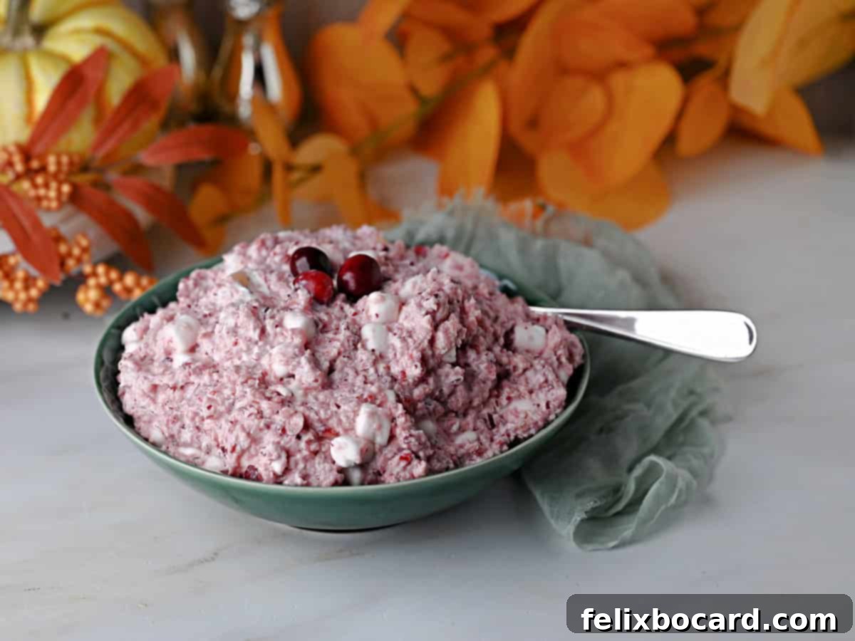 The finished marshmallow cranberry fluff salad, transferred into an elegant serving bowl and ready to be enjoyed.