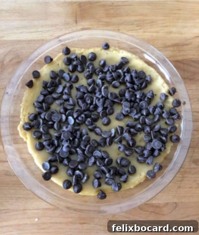 pie with chocolate chips on top