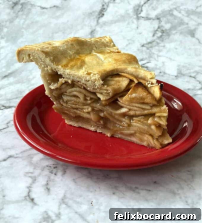 slice of apple pie on a red plate