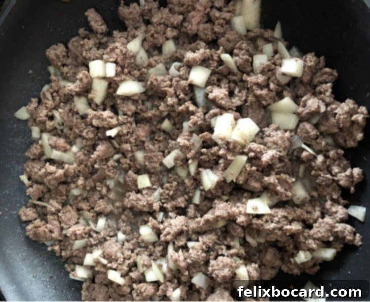 browned meat and onions in a skillet