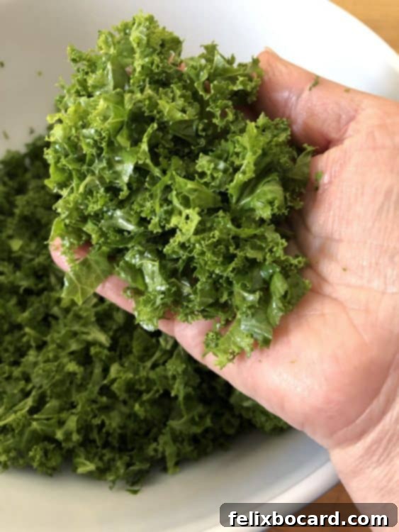 hand holding some kale leaves