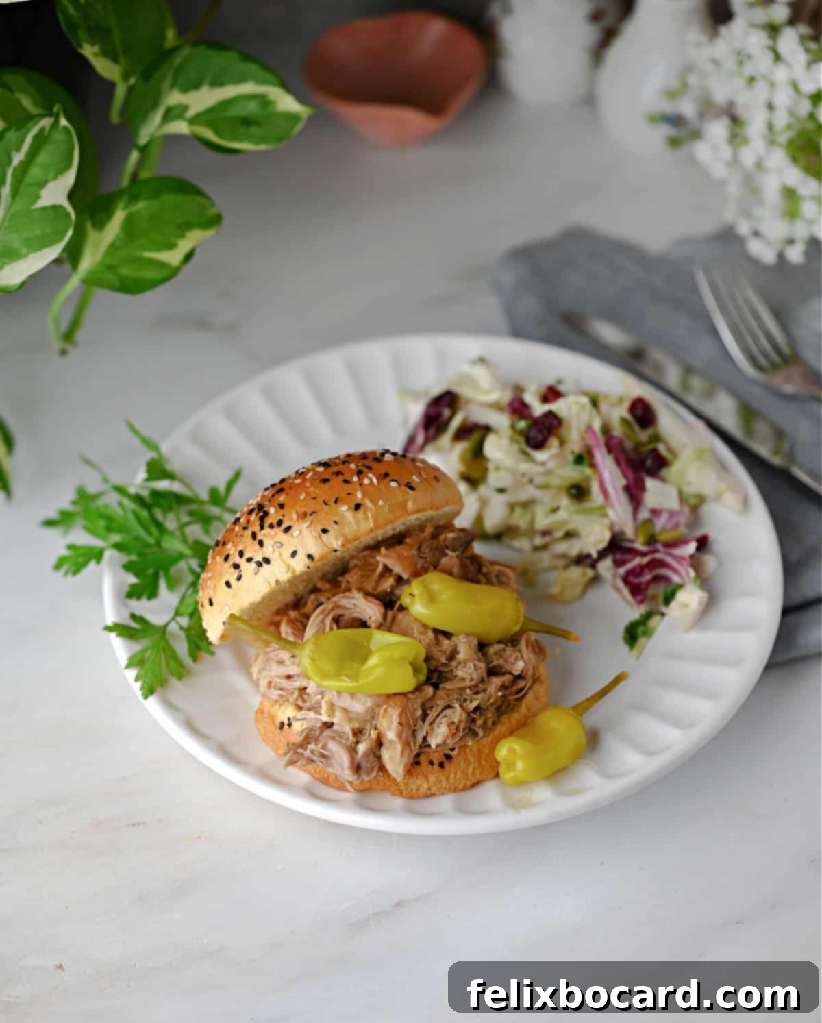 A Mississippi chicken sandwich served with a fresh salad.