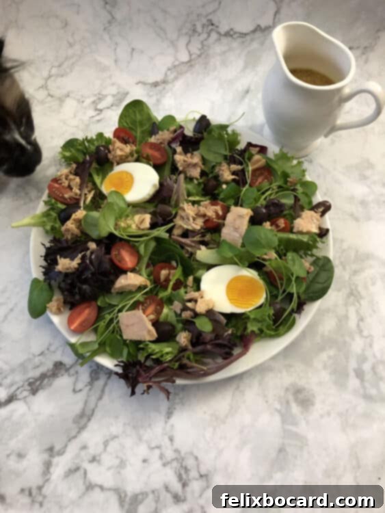 salad with cat's nose sniffing at the edge