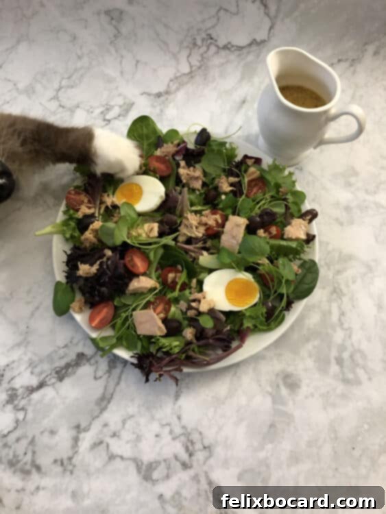 Cat's foot reaching into the salad
