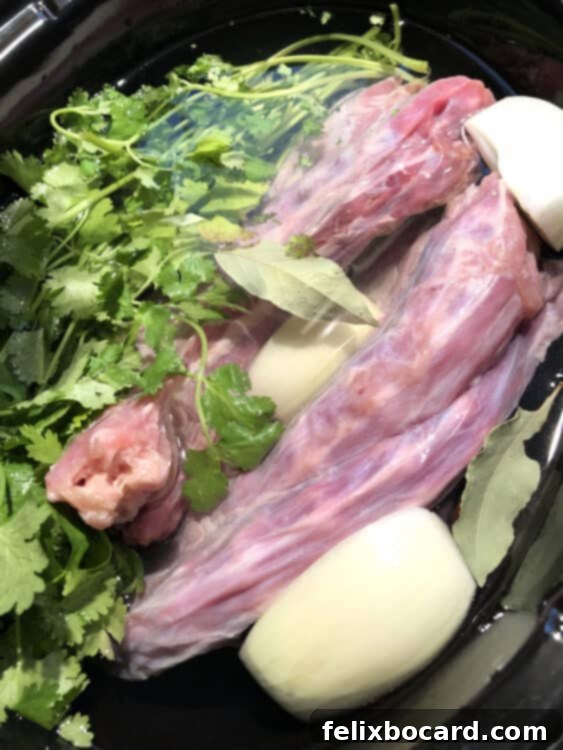 Fresh ingredients including poultry bones, carrots, celery, and onion in a crock pot, ready for slow cooking.