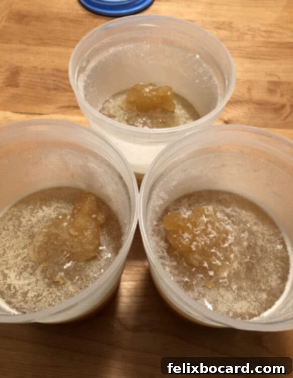 Several containers filled halfway with homemade bone broth, partially frozen to allow for liquid expansion.