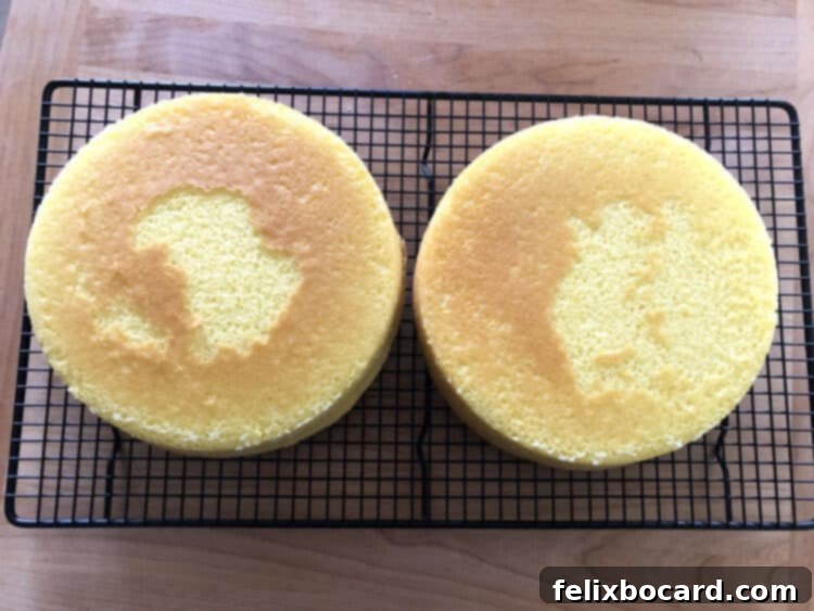 Two perfectly baked, golden-brown 8-inch round cake layers cooling on a wire rack, ready for frosting.