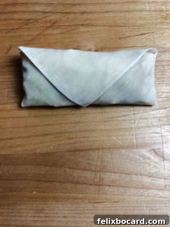 wrapped but uncooked egg roll