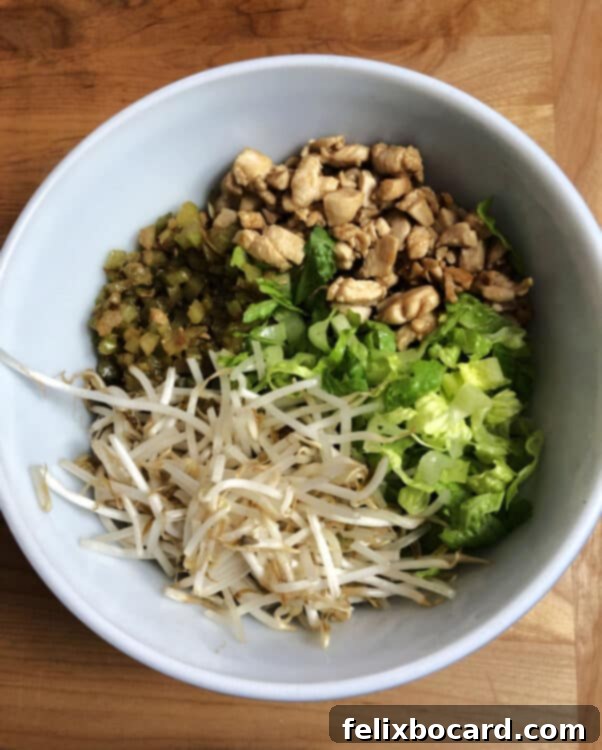 bowl of filling ingredients: chicken, celery, bean sprouts and lettuce