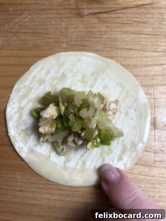 A hand moistening the edge of a potsticker wrapper with filling in the center.