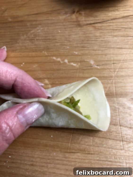 Fingers pressing the top edges of a potsticker wrapper together.