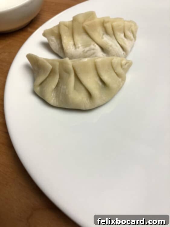 Two fully pleated potsticker wrappers neatly arranged on a plate.